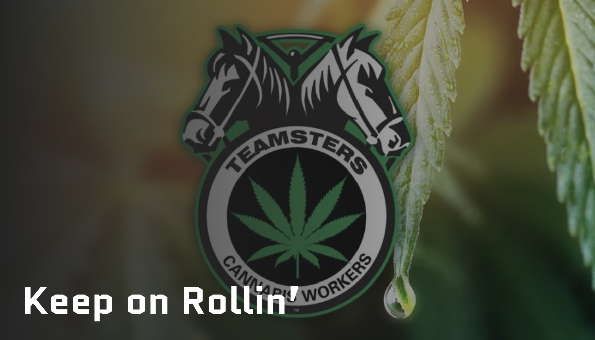 teamsters cannabis